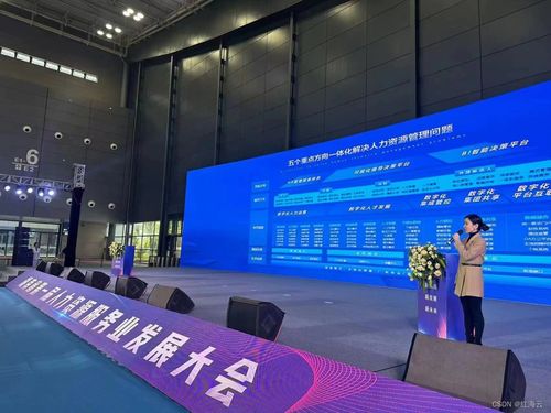 湖南省人力资源发展大会见证红海云数字化创新突破,成果备受关注
